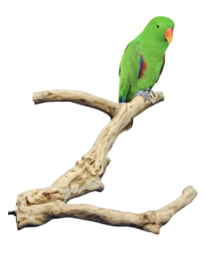 Java Wood Multibranch Perch For Parrots - Large